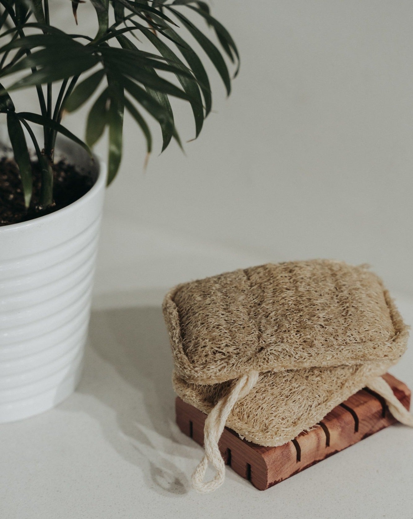 3 Pack Natural Loofah Sponge – Eco-Friendly, Biodegradable, Zero-Waste Exfoliating & Cleaning Sponges