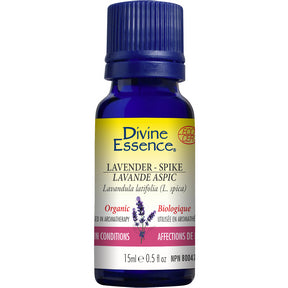 Divine Essence - Lavender - Spike (Organic) (15ml 6)