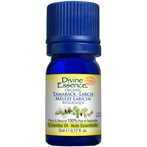 Divine Essence - Larch Tamarack (Organic) (5ml 6)