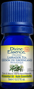 Divine Essence - Labrador Tea Organic (5ml 6)