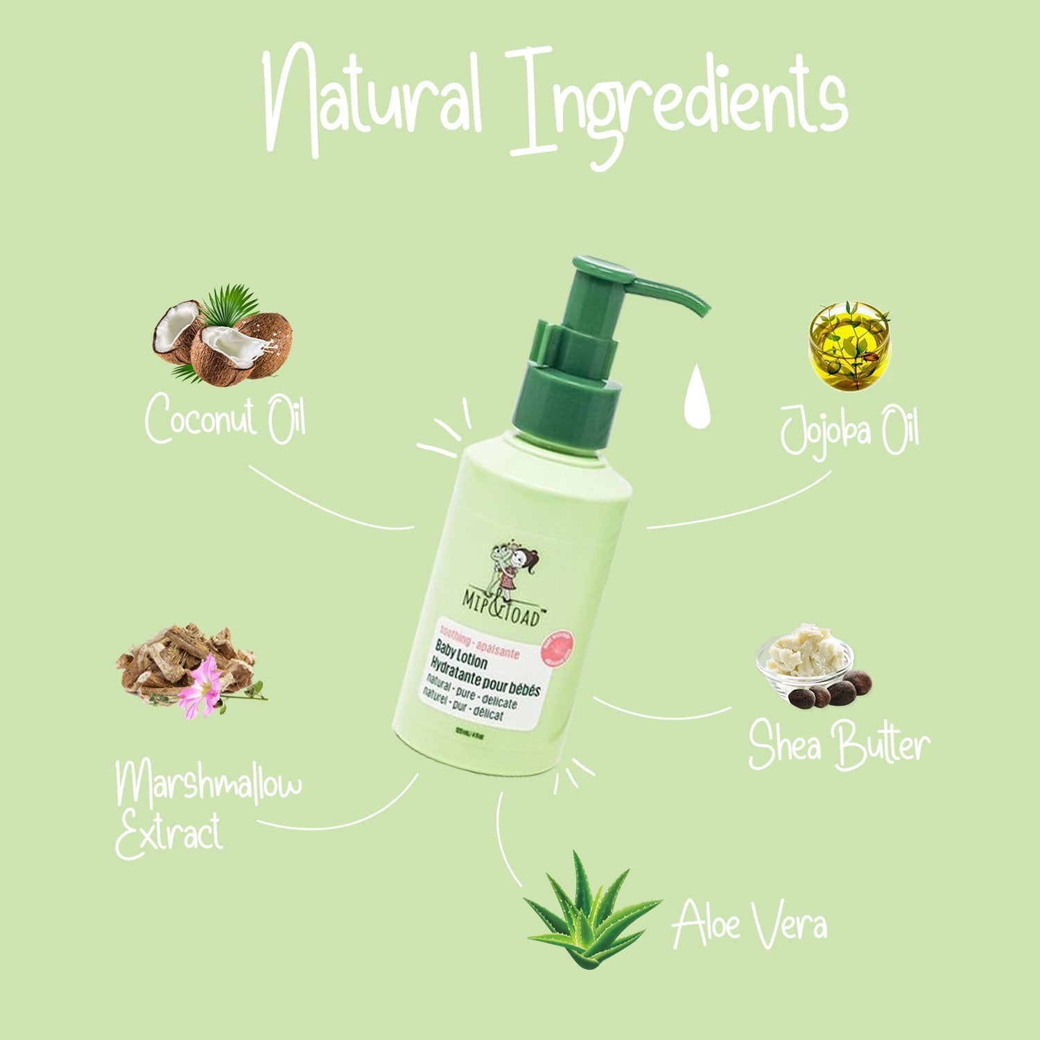Baby Lotion – Gentle & Nourishing for Sensitive Skin, Enriched with Botanicals