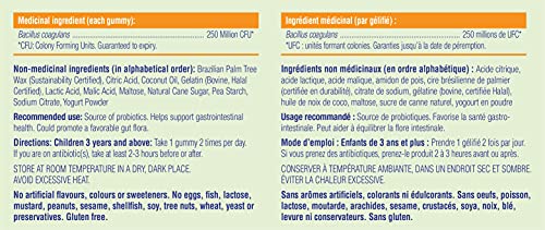 Allkidz - Probiotic Gummies, 80s