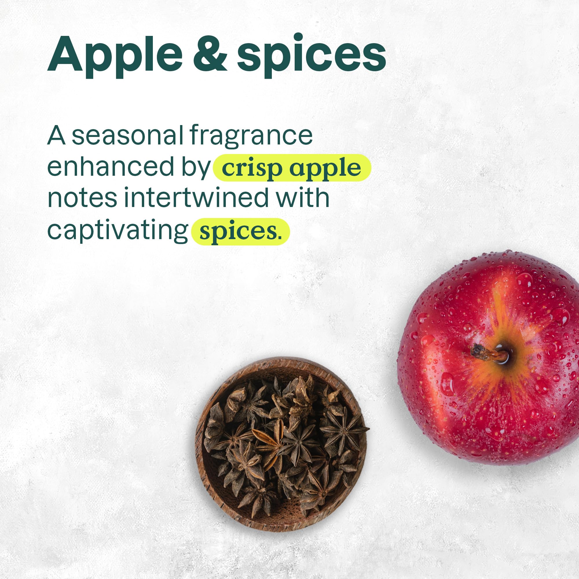 Attitude - Hand Soap - Apple & Spices (473ml 6)