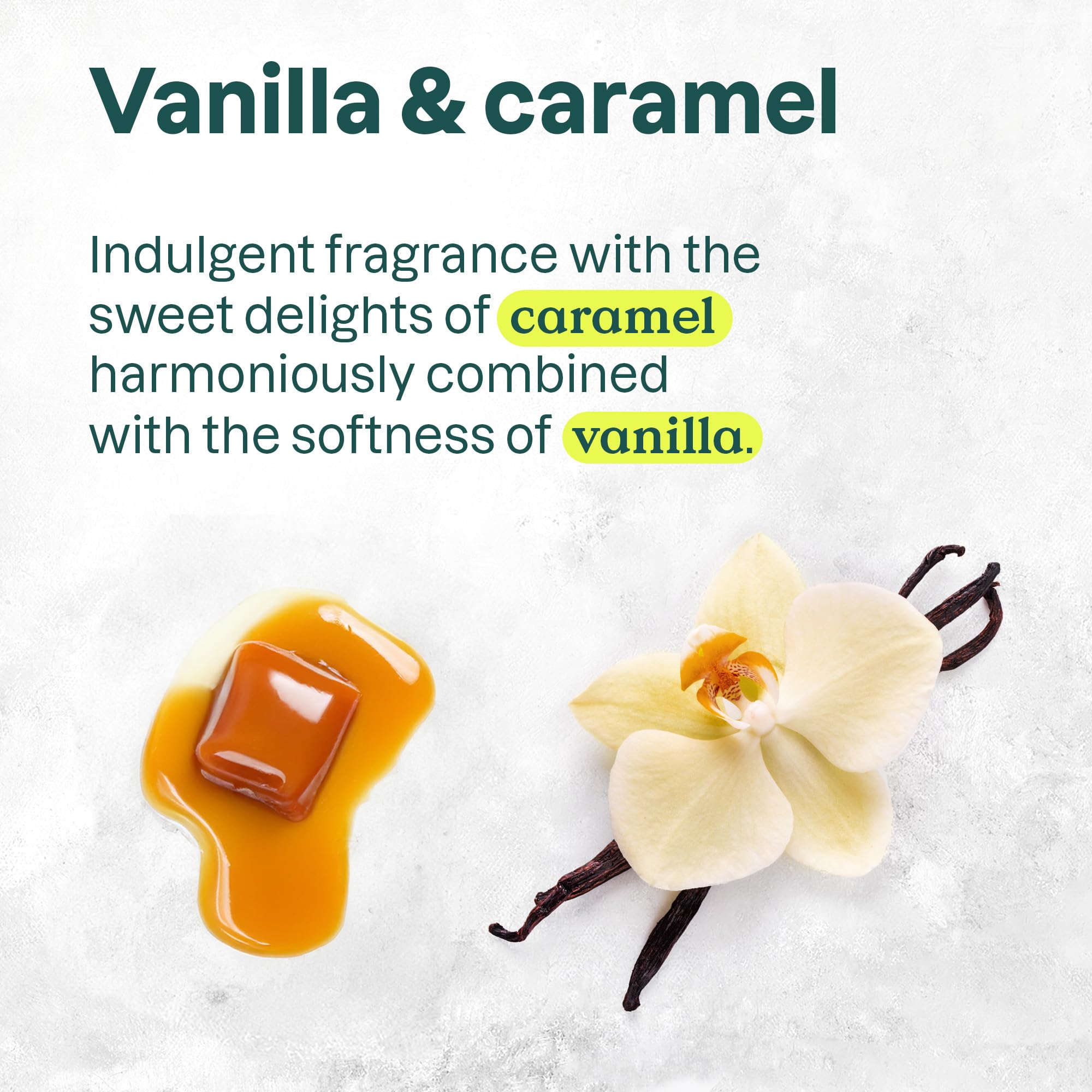 Attitude - Hand Soap - Vanilla Caramel (473ml 6)