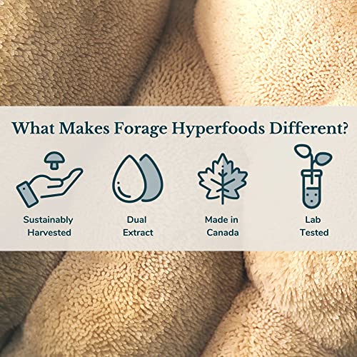 Forage Hyperfoods - Turkey Tail Tincture - Original (118ml 24)