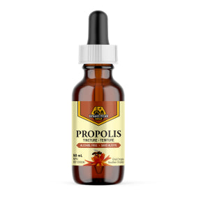 Dutchman's Gold Inc. - Propolis Tincture Alcohol-Free (50ml 6)