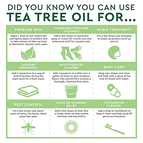 Desert Essence - Thoroughly Clean Face Wash - Refill (946ml 12)