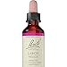 Bach Original Flower Essence – Larch 20 ml