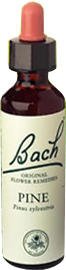 Bach Original Flower Essence – Pine 20 ml