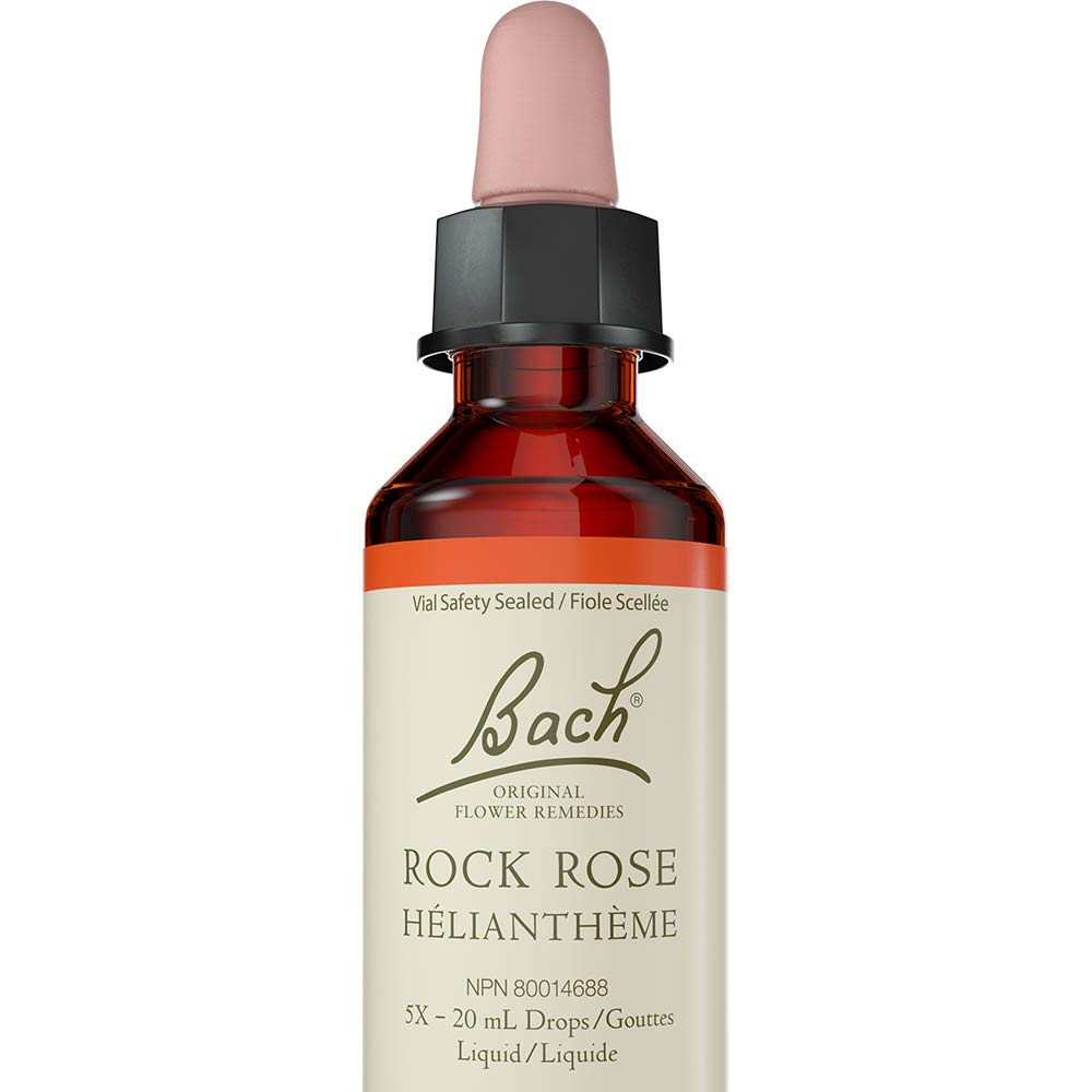 Bach Rock Rose Flower Essence – Natural Remedy for Fear & Emotional Balance 20 ml