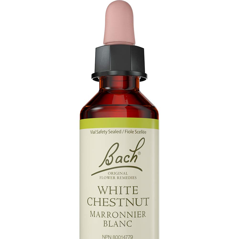Bach White Chestnut Flower Essence 20 ml