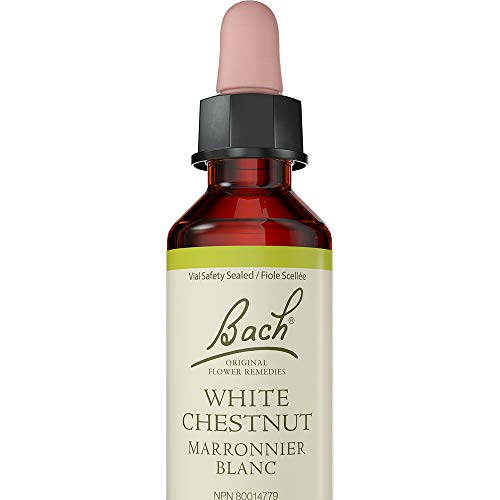 Bach White Chestnut Flower Essence 20 ml