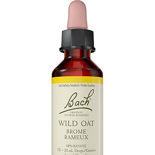 Bach Wild Oat Flower Essence – Guidance & Life Direction 20 ml
