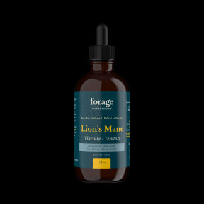 Forage Hyperfoods - Lion's Mane Tincture - Alcohol Free (118ml 24)