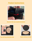 Foundation With Mushroom Head Air Cushion, BB Cream Flawless Lightweight Full Coverage Long Lasting Moisturizing Concealer Foundation Natural Nude Makeup