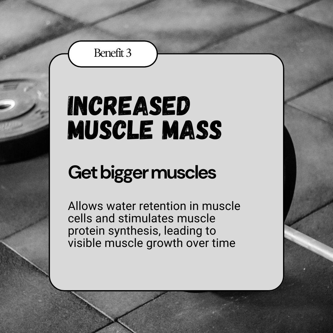 Wholesale BulkBully Creatine Gummies – Strawberry, 30 Servings, Workout Performance Support