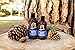 Dr. Squatch - Fresh Falls Conditioner (340ml 6)