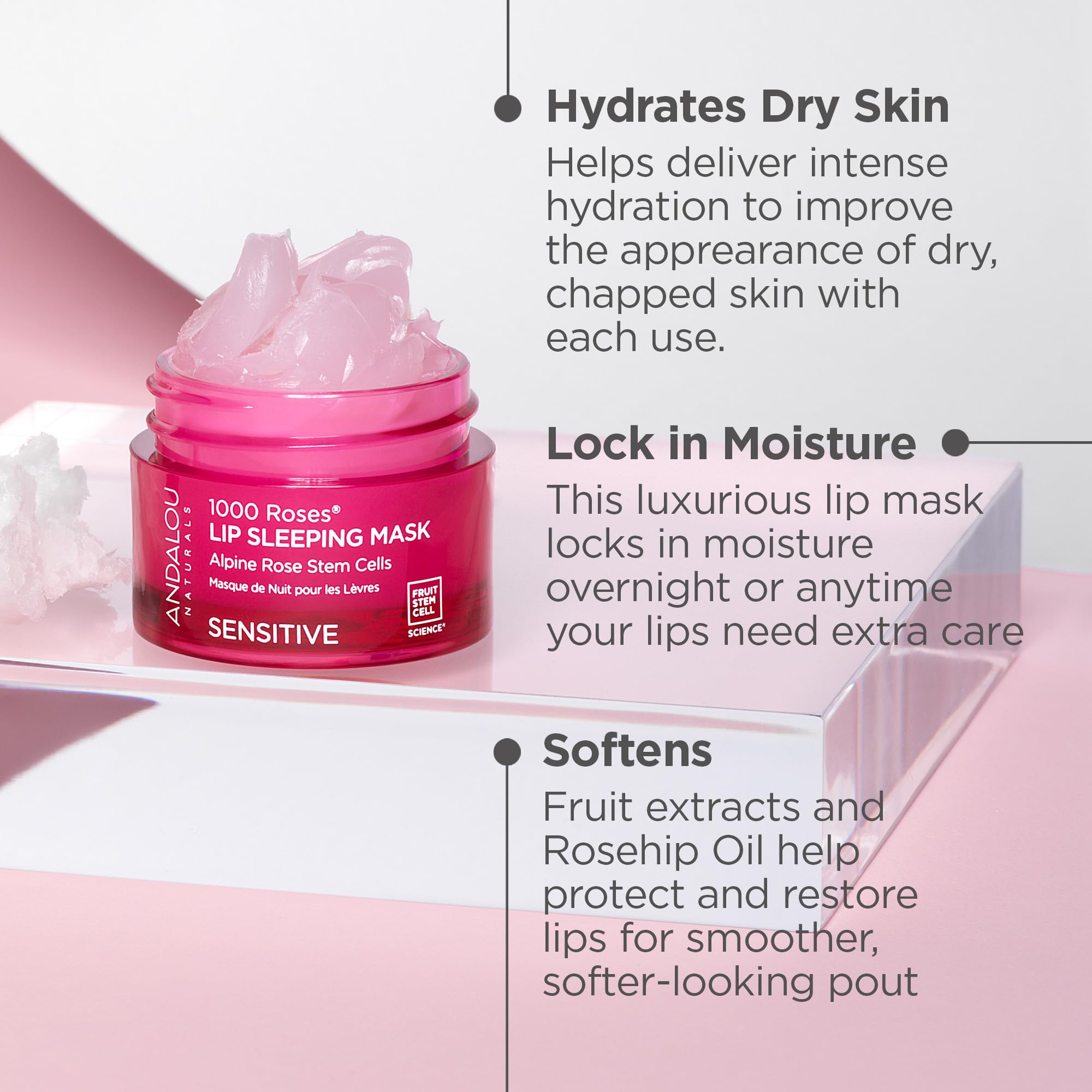 Andalou Naturals - 1000 ROSES LIP SLEEPING MASK (11.9g 6)