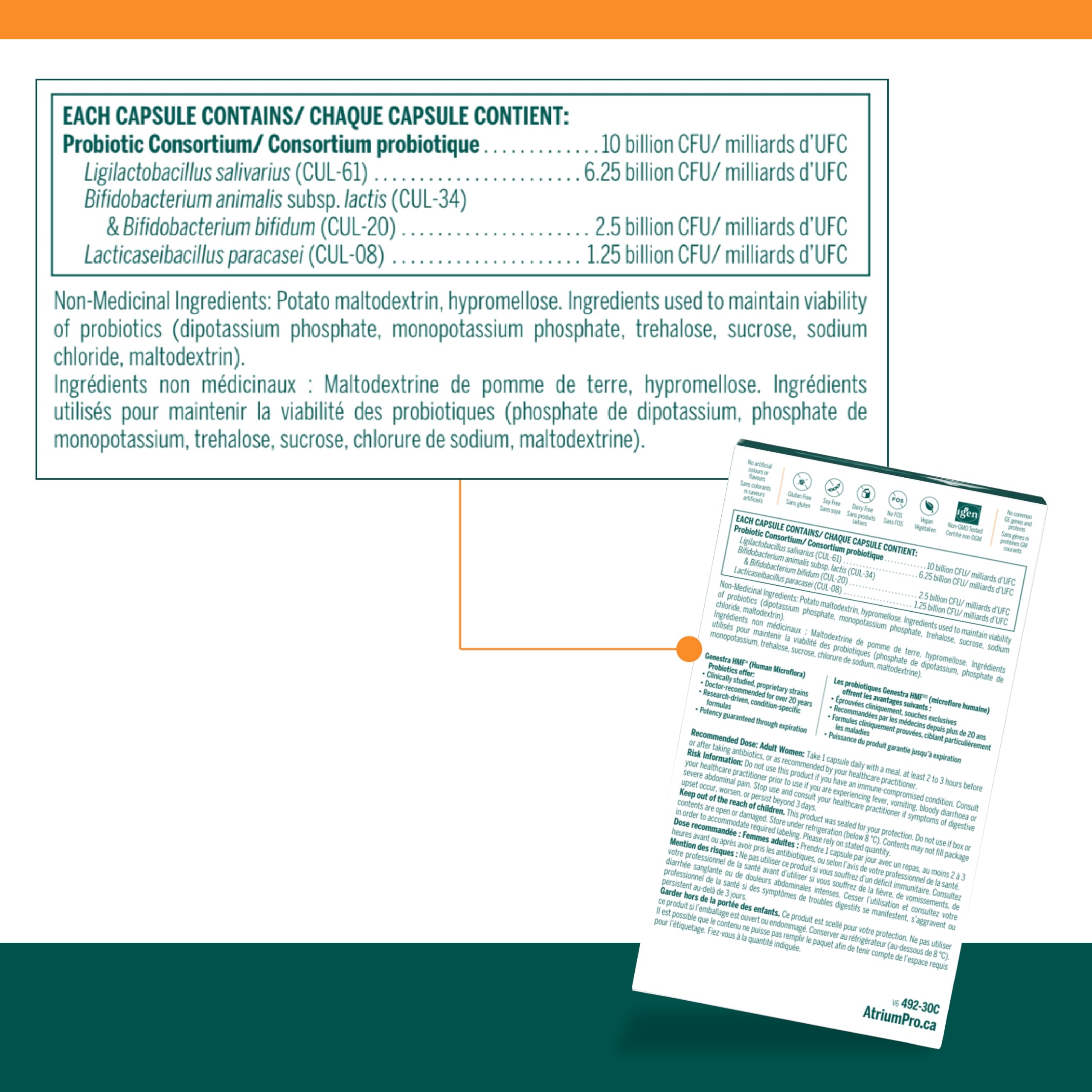 Genestra Brands - HMF Maternity (30caps 180)