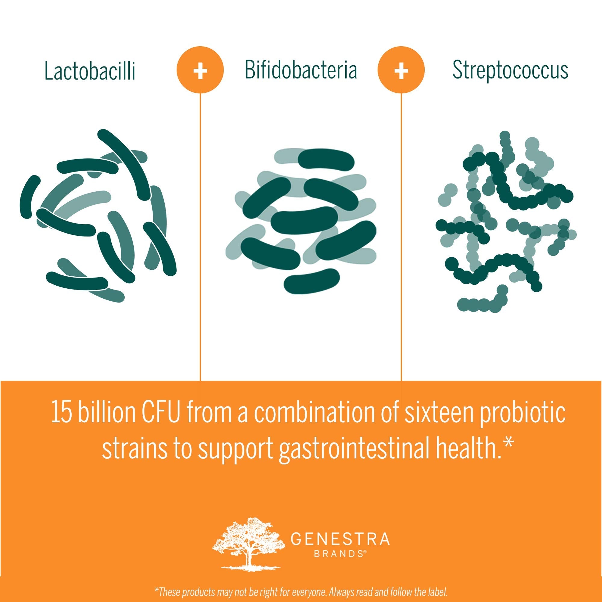 Genestra Brands - HMF Multi Strain (60caps 350)