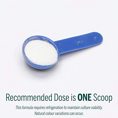 Genestra Brands - HMF Super Powder (138g 48)