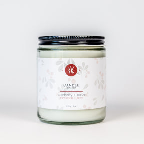 All Things Jill - Cranberry + Spice Candle (210g 12)