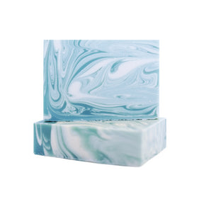 All Things Jill - Eucalyptus + Mint Bar Soap 10pk (10 x 130g 40)
