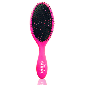 Soft Flexible Bristle  Shine Brush | Accessory