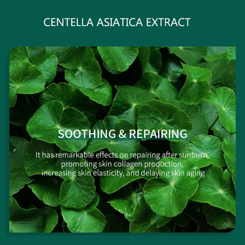 Centella Asiatica Moisturizing Face Toner Spray Refreshing Non-greasy Facial Tonic / 100ml