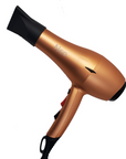 1875W DC Motor Hair Dryer: 3x Airflow & Heat Settings, Cool Shot, Soft Touch, Magnet Box