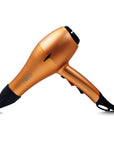 1875W DC Motor Hair Dryer: 3x Airflow & Heat Settings, Cool Shot, Soft Touch, Magnet Box