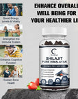 GPGP Greenpeople Pure Shilajit Gummies Rich in ginseng Fulvic Acid For Male Hormone Energy 100% Organic