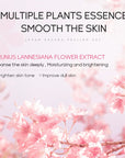 Japan Sakura Skin Care Set