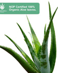 ALODERMA Aloe Nourishing Hand Wash 300ml