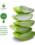 ALODERMA Fresh Aloe Vera Gel 45g