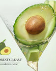 Avocado Facial Cleanser Face Wash  Face Cleanser Skincare  Products 100gm