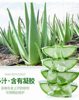 Large Bottle Moisturizing Aloe Gel Hydrate and Soften Skin 500g