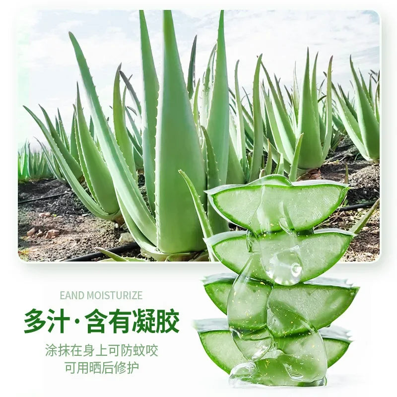 Large Bottle Moisturizing Aloe Gel Hydrate and Soften Skin 500g