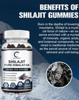 GPGP Greenpeople Pure Shilajit Gummies Rich in ginseng Fulvic Acid For Male Hormone Energy 100% Organic