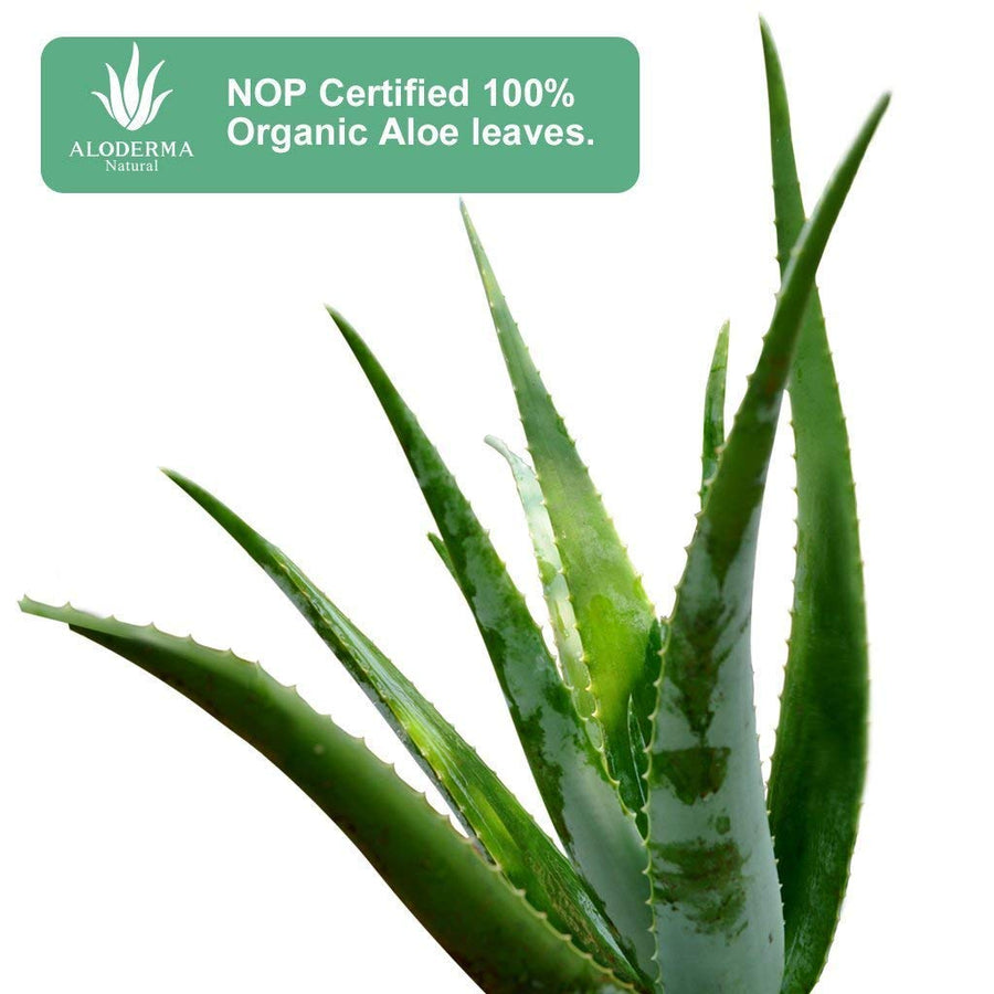 ALODERMA Pure Aloe Vera Gel 114g