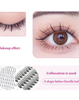 Fadvan DIY Eyelashes