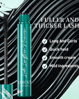 QIBEST 4D Black Mascara Curling  Waterproof Long-Wearing Mascara