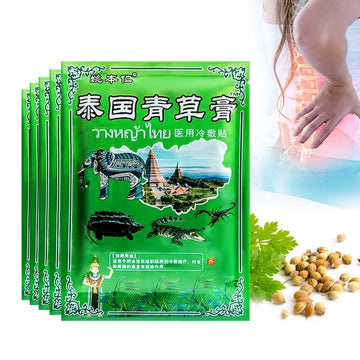 Skin Help Zone Knee Pain Medical Plaster Wormwood Extract Joint Ache Relief Muscle Pain