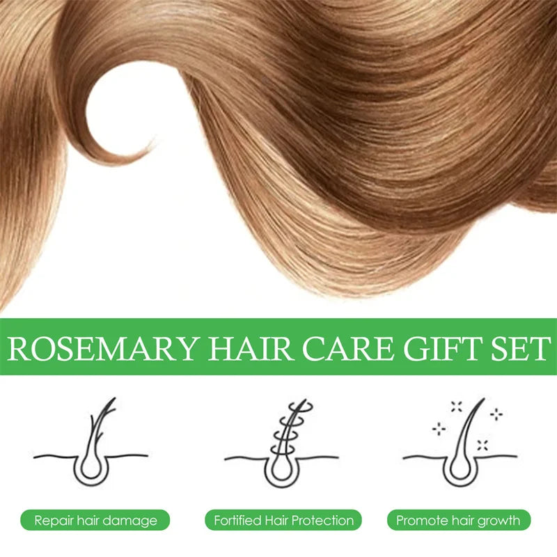 Rosemary Hair Growth Kit Essential Oil Mint Hair Strengthening Oil Nourishing Treatment For Dry And Split Ends Organics Hair Oil