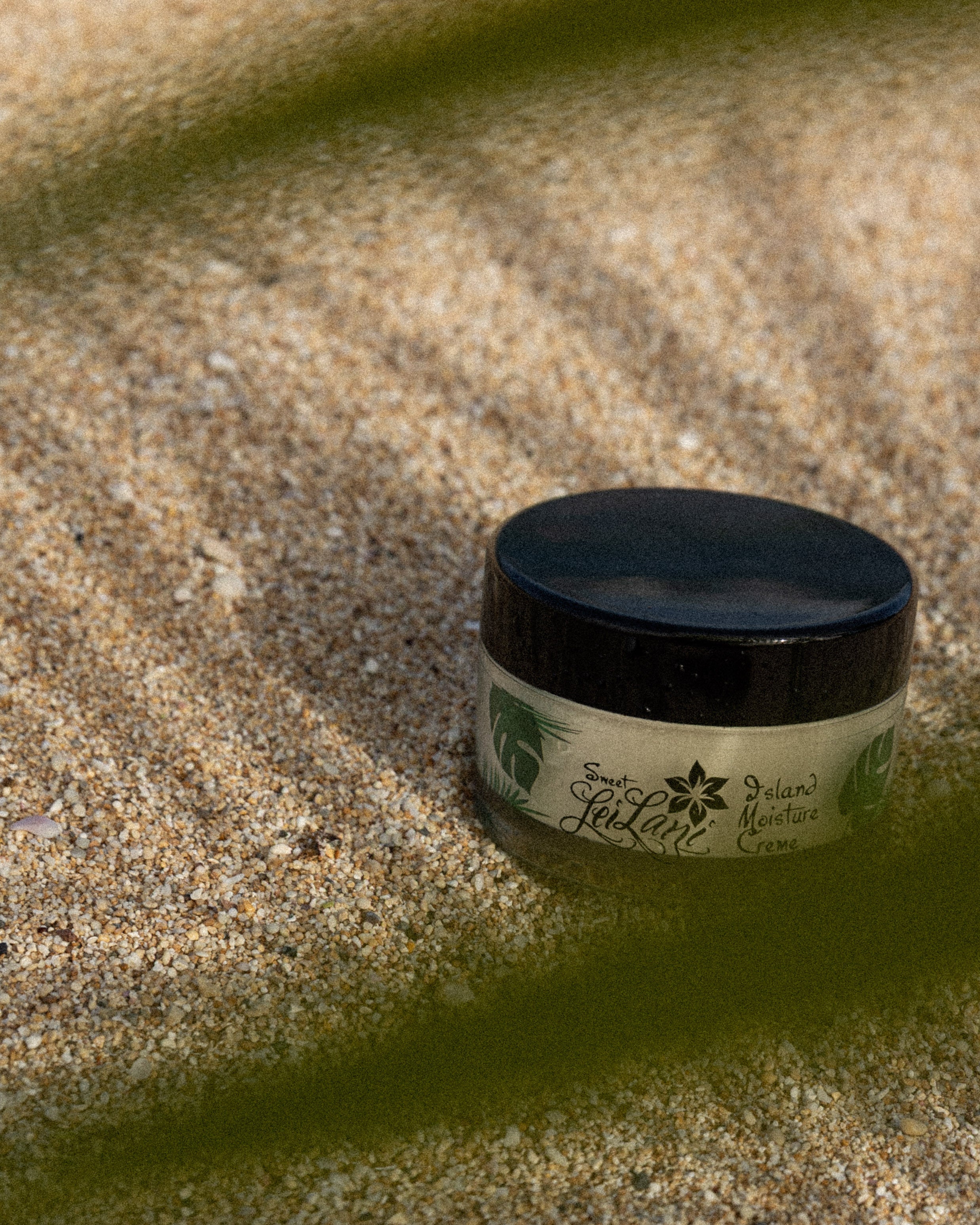 Island Moisture | Day/Night Cream & Hair Conditioner 2 fl oz