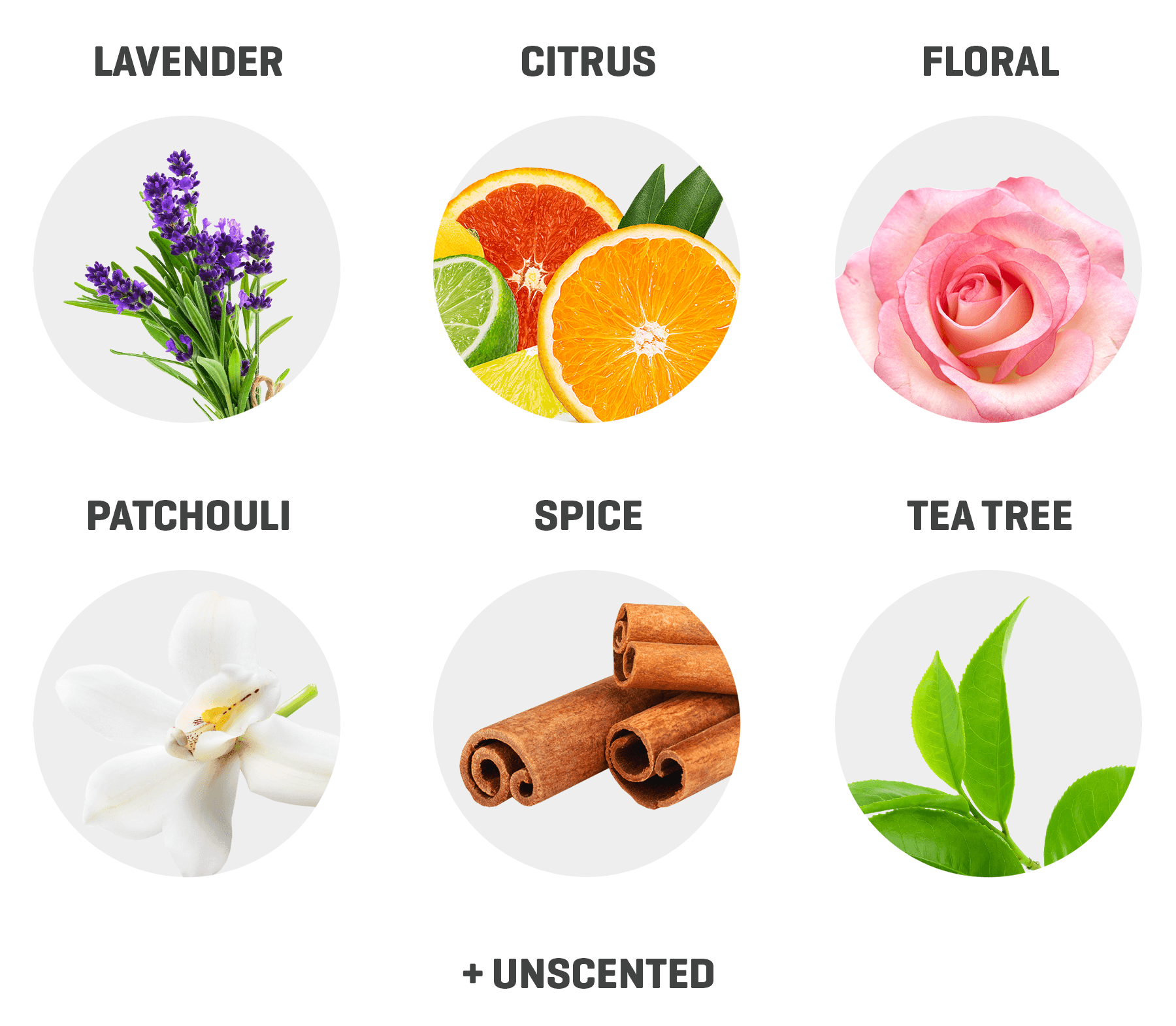 Any 4 Natural Deodorants & FREE SHIPPING*