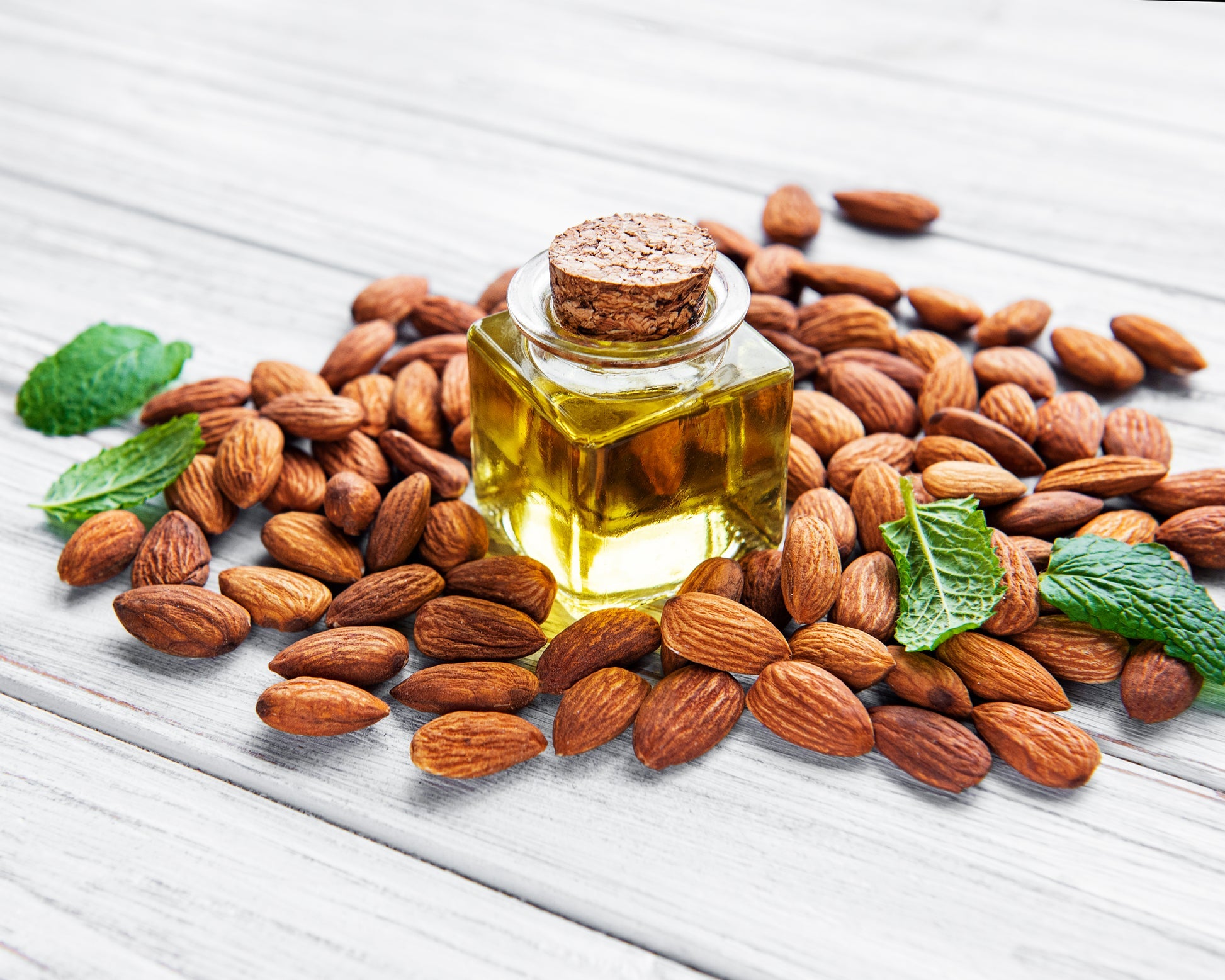 Plant Therapy – AM Hydra Boost + Defense Serum | Daily Skin Shield