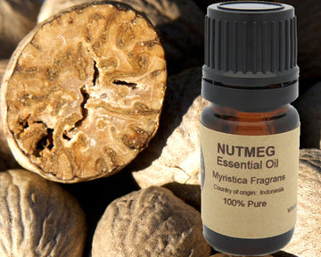 Nutmeg Essential Oil 15ml 100% Pure