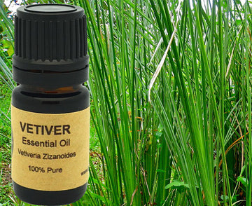 Yellow Poppy Vetiver Essential Oil 5ml 10ml or 15 ml 100% Pure