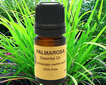 Yellow Poppy Palmarosa Essential Oil Cymbopogon martinii var Organic 15ml 100% Pure